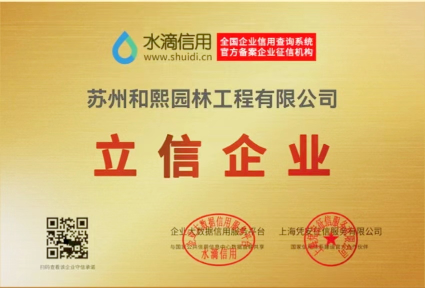 立信企业证书
