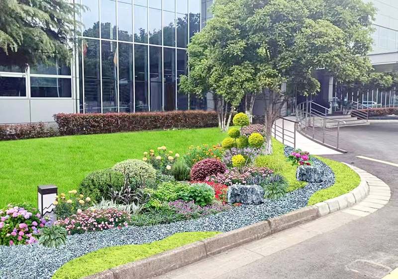 苏州微创骨科学集团